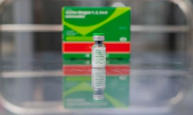 Curitiba inicia vacinação contra dengue: veja quem pode se imunizar