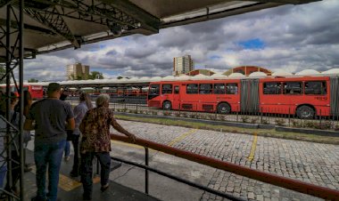 Curitiba libera transporte de cães e gatos nos ônibus: veja regras